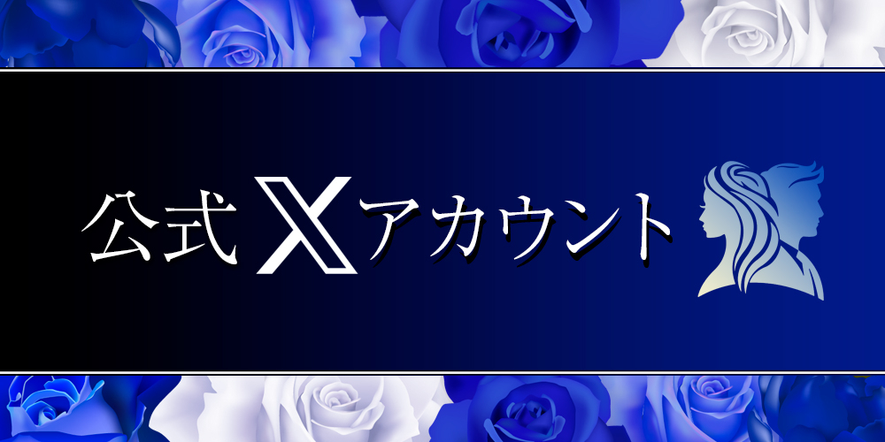 公式X